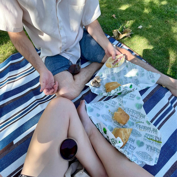 Picnic by the Lake