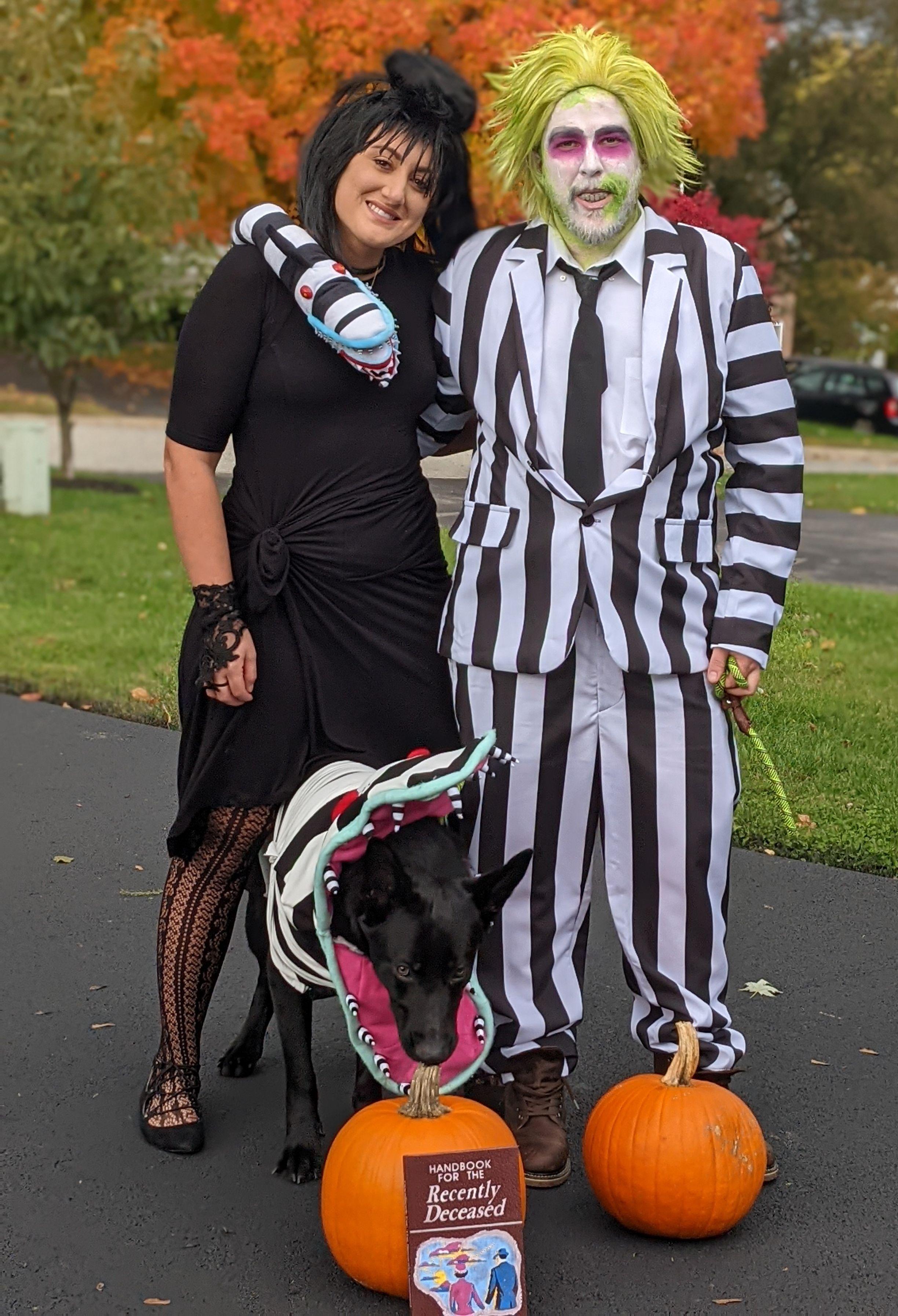 The Wedding Website of Giavanna Kyre and David Maddock