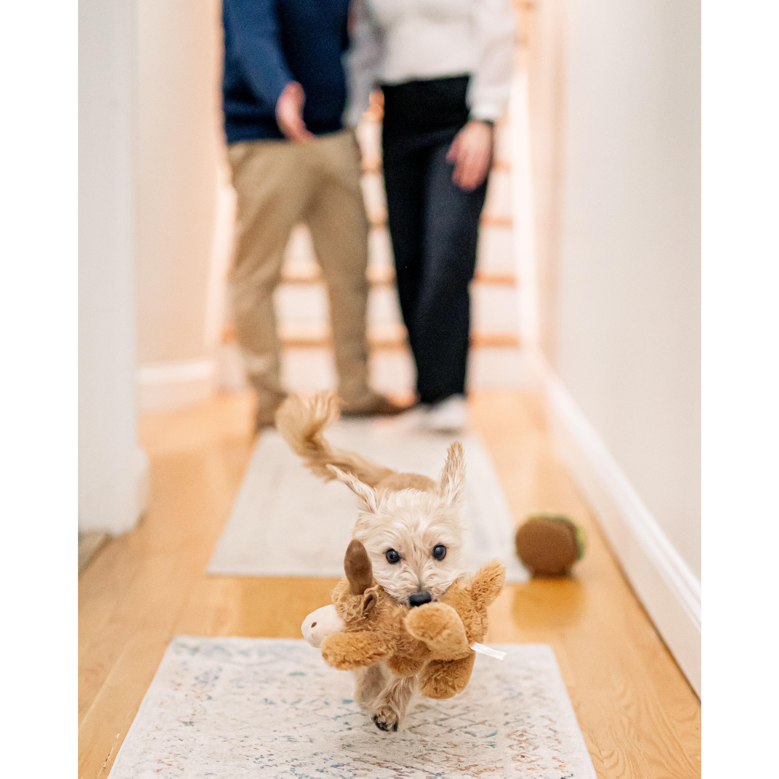 Engagement photos at home with Matt Gruber Photography