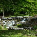 Irish National Stud & Gardens