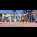 Railroad Park