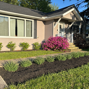 House Projects