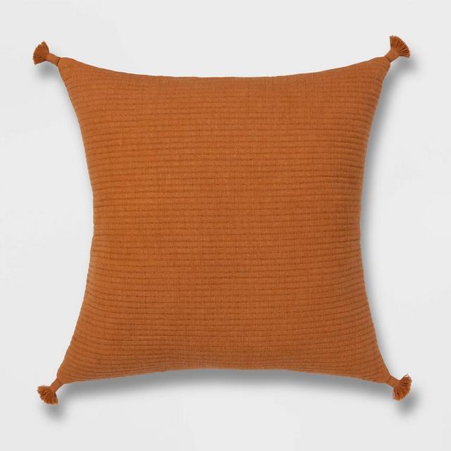 Euro Soft Texture Tasseled Throw Pillow Apricot - Project 62™