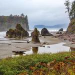 The Olympic Peninsula / Outer Coast