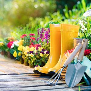 Landscaping Fund