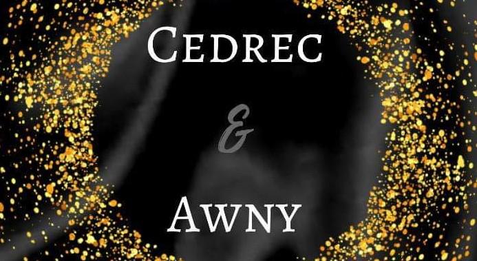 The Wedding Website of Cedrec Holmes and Awny Benekin
