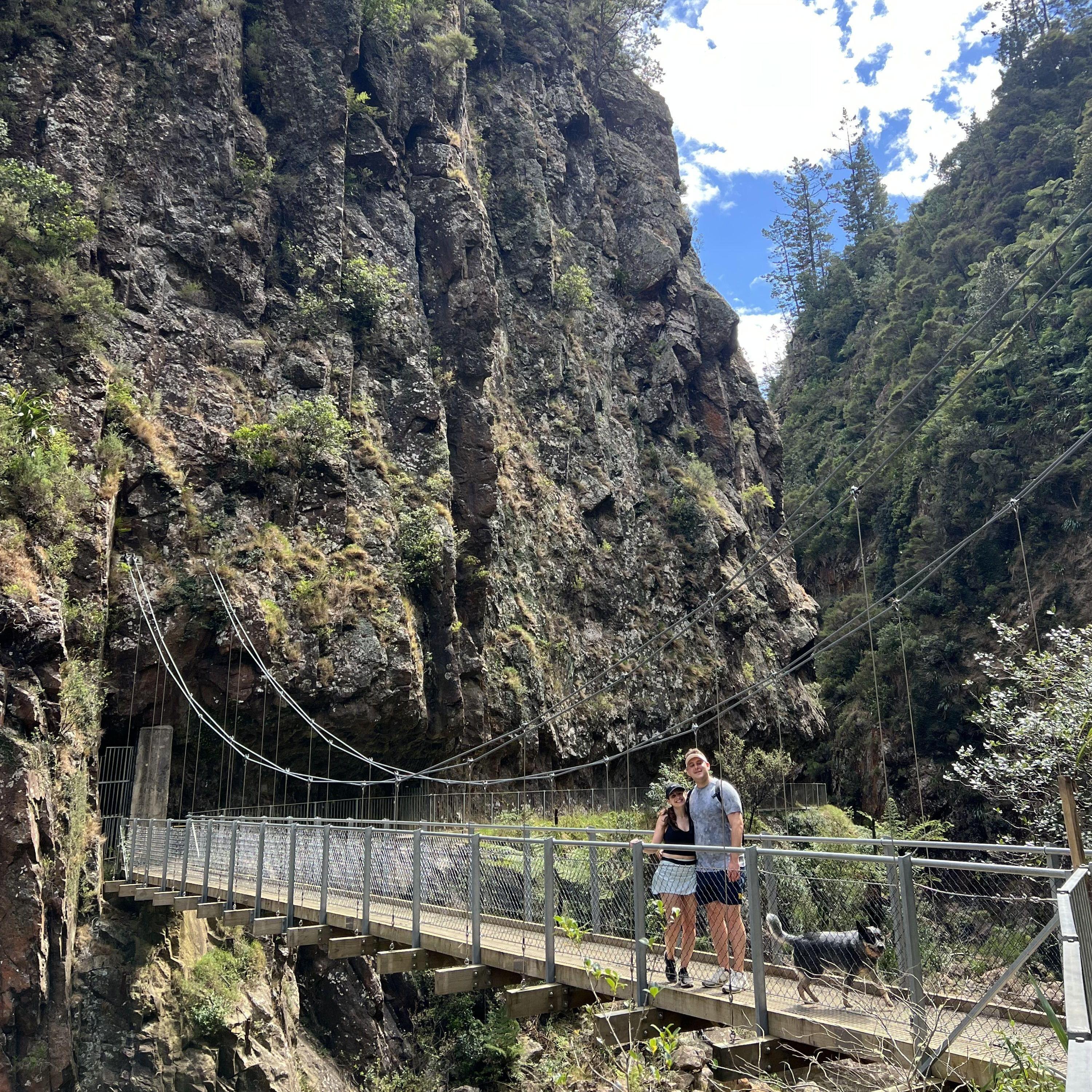 Exploring New Zealand