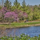 The Morton Arboretum
