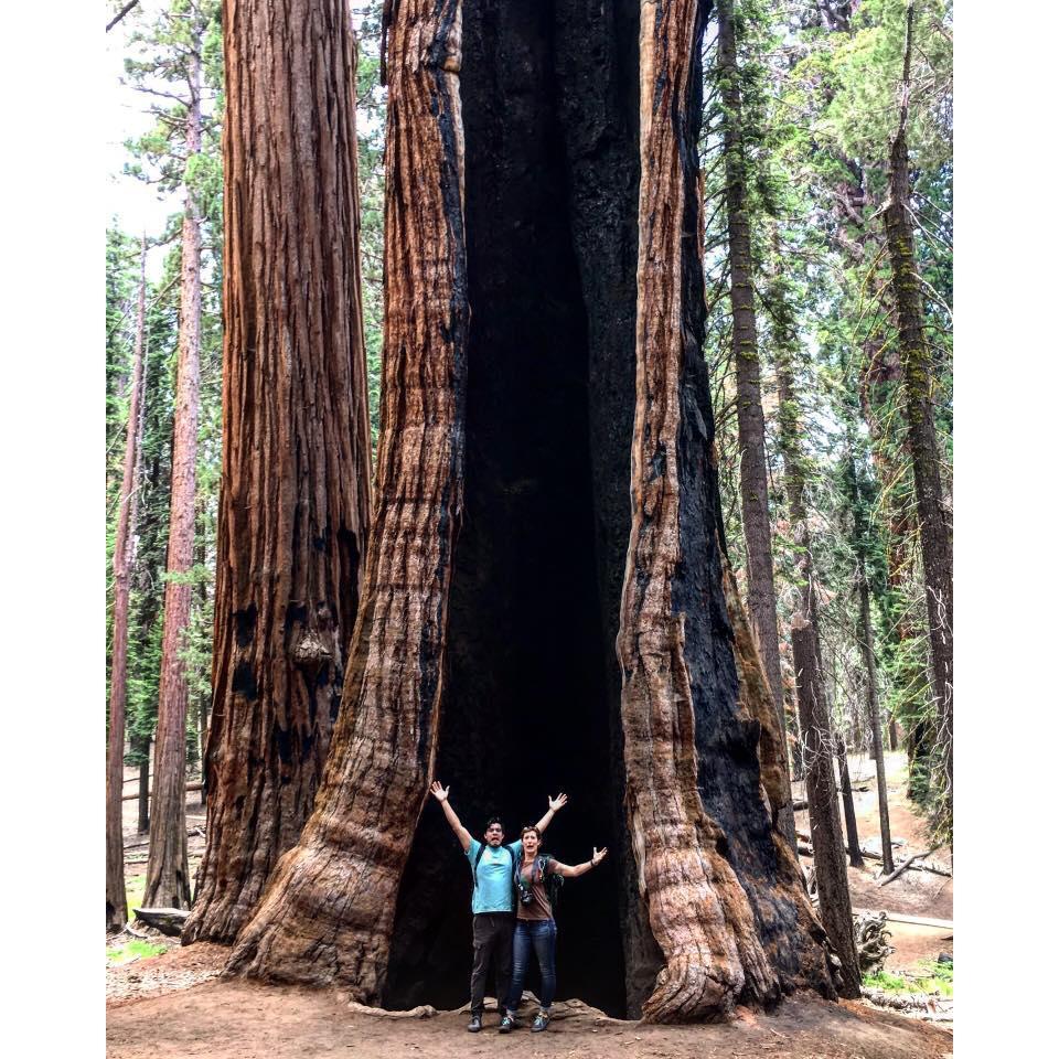 The time we went to Sequoia National Park.
