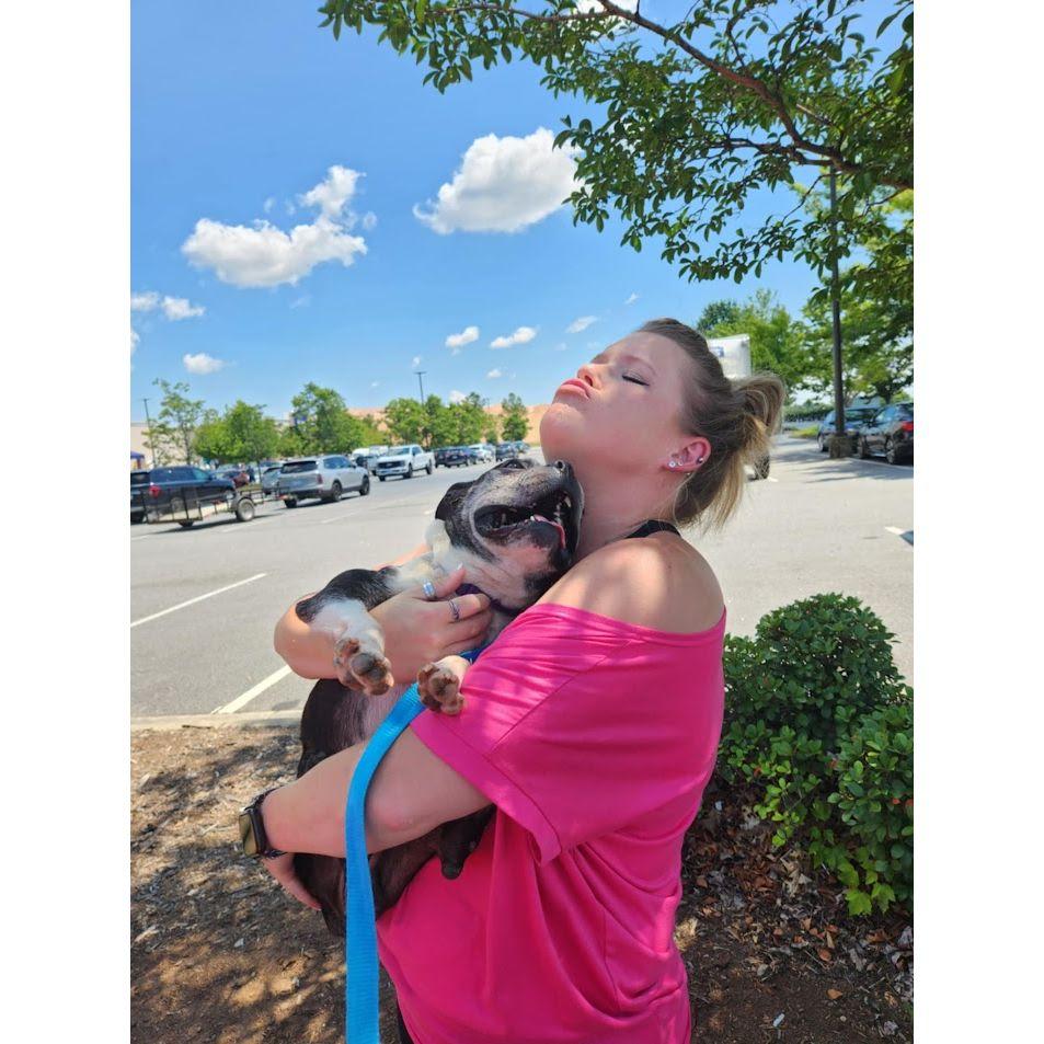 The day we decided to adopt Marshall Dillon