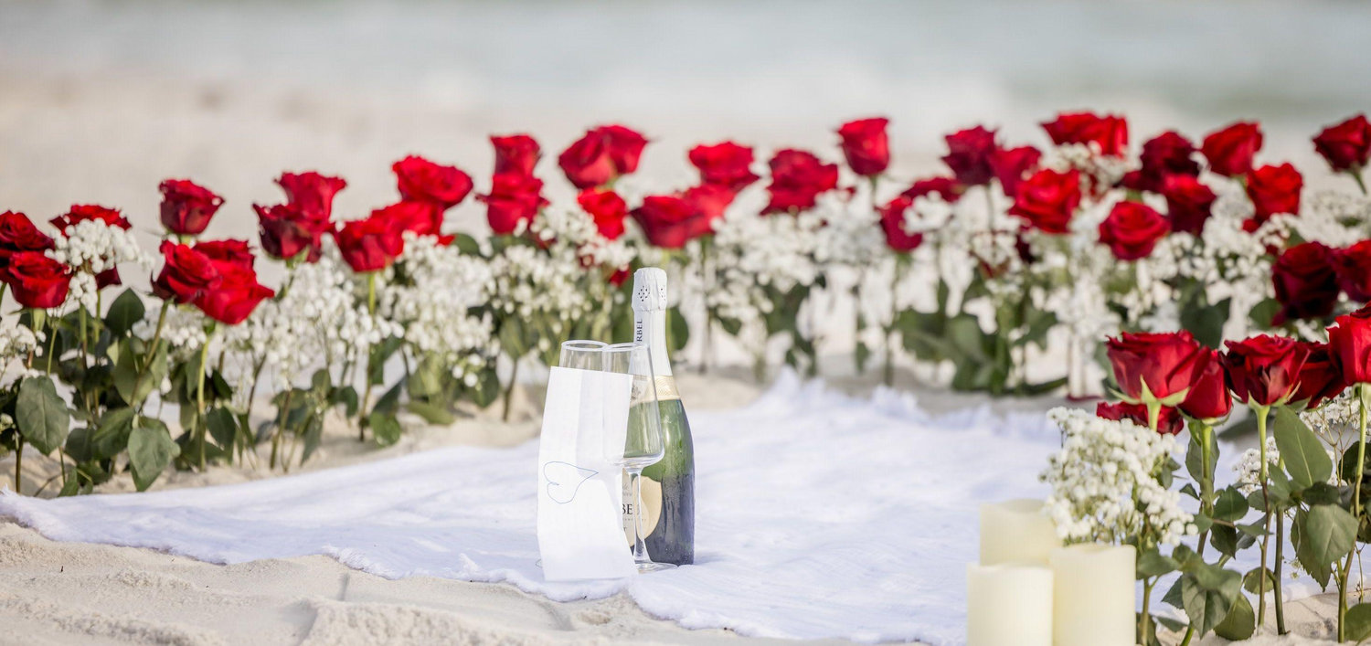 The Wedding Website of Danielle Hickin and Rosemond Herelle