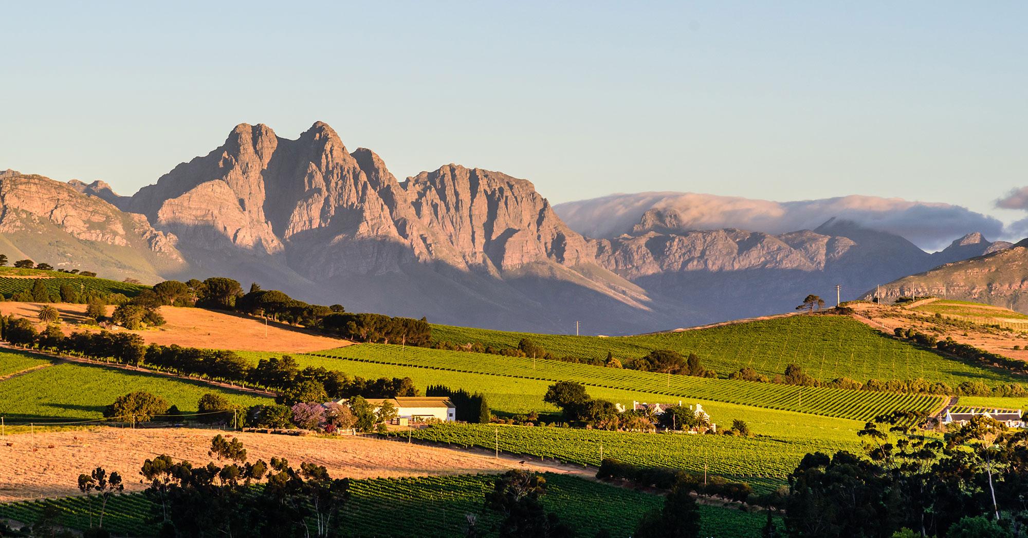 The Wedding Website of Tracy Peckham and Rudi Willemse