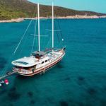 Boat Tours