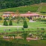 Linville Falls Winery