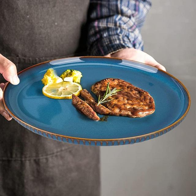 2 Pack Large Dinner Plates, 10.5 Inch Blue Porcelain Salad Plates Round Ceramic Serving Dining Plate Set of 2 for Dinner Pasta Fruit