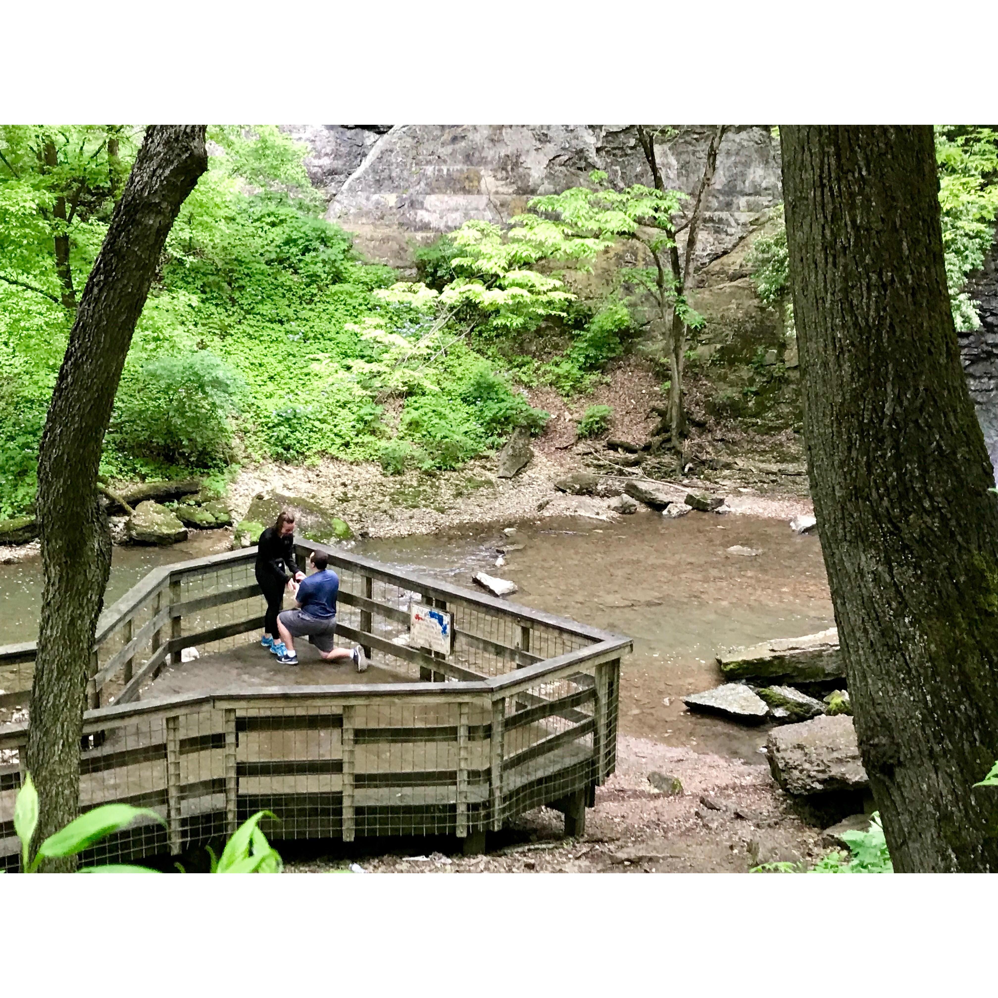 Proposal at Hayden Falls | May 21, 2019