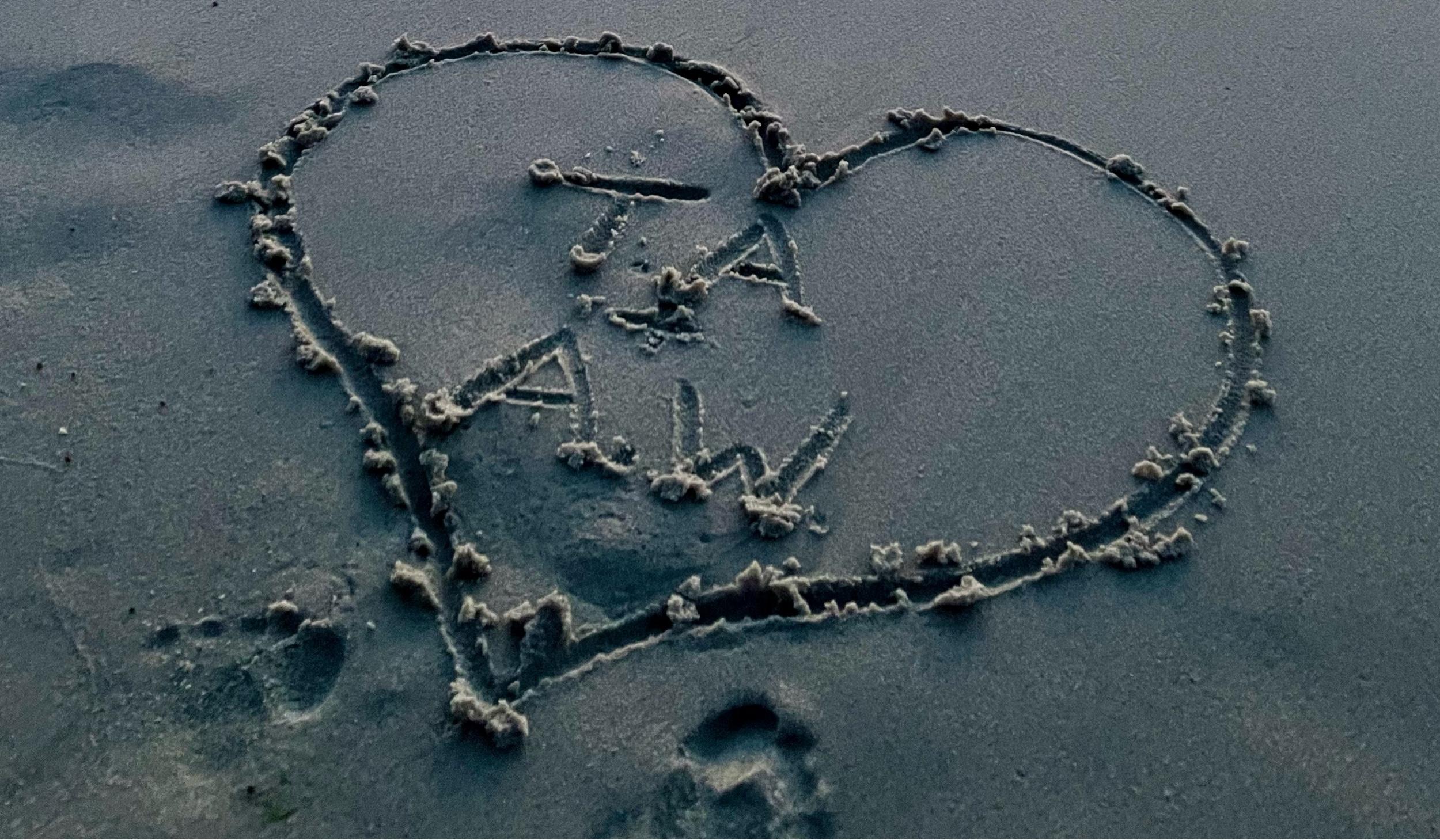 The Wedding Website of Amy Warren and Tom Andrews