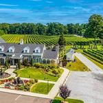 Del Vino Vineyards