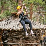 Treehouse Adventure Park