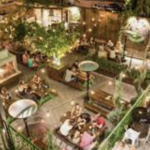 Raleigh Beer Garden