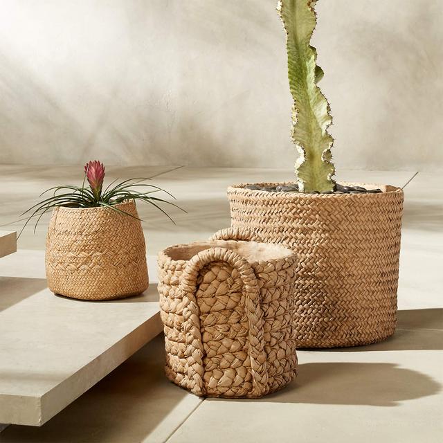 Cement Basket Planter Set