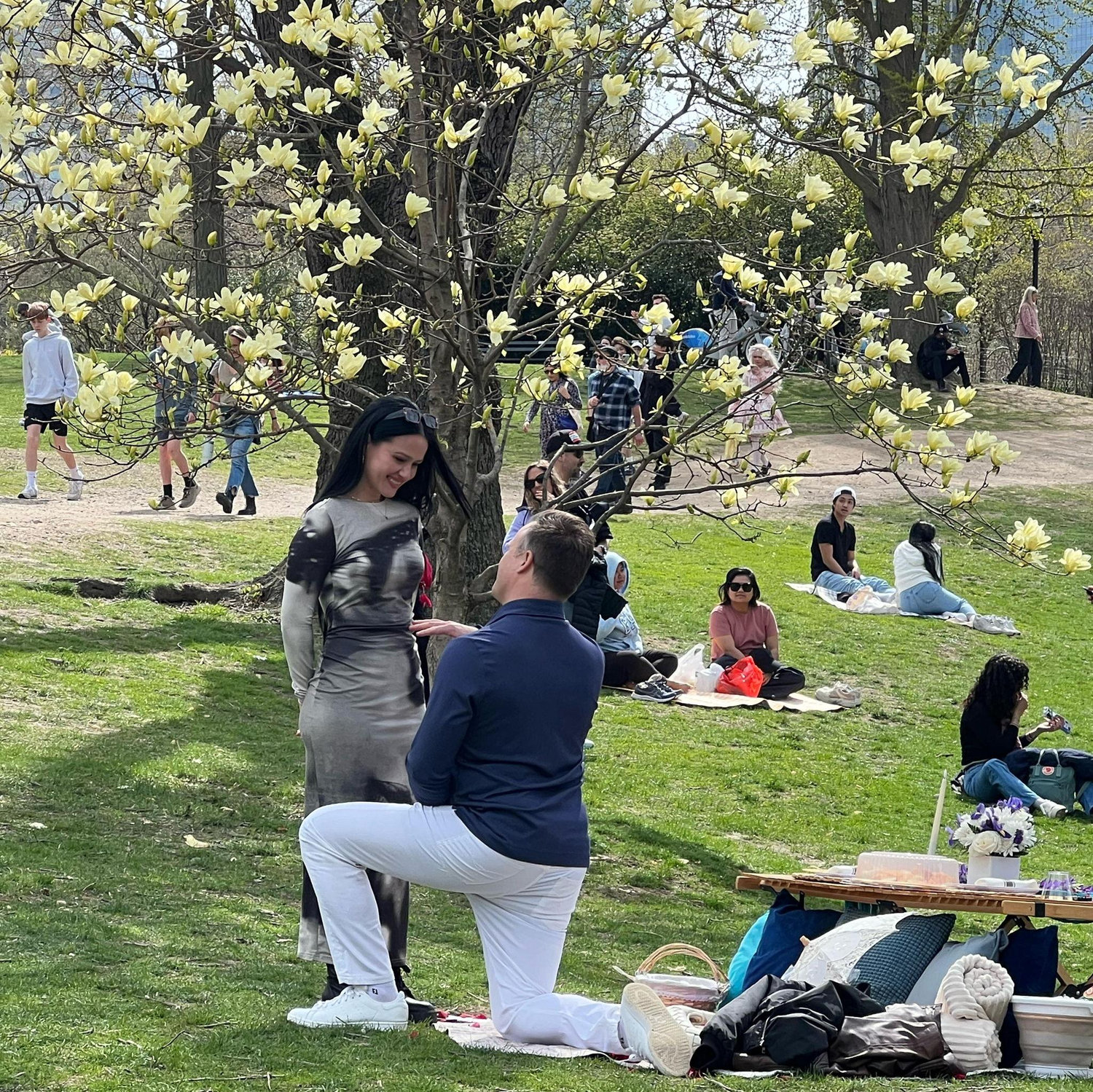 Primavera. Central Park. Picnic. Russ propuso y Flavia dijo Si!
Spring. Central Park. Picnic. She said yes!