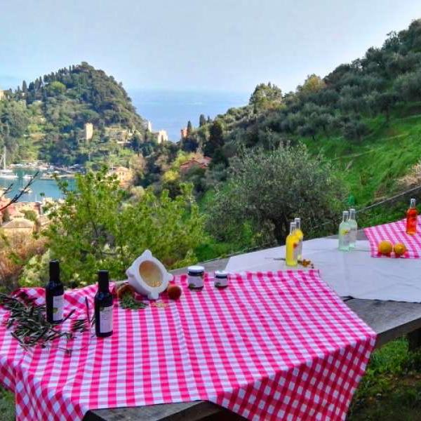 Private Cooking Class In Portofino