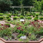 The State Botanical Garden of Georgia