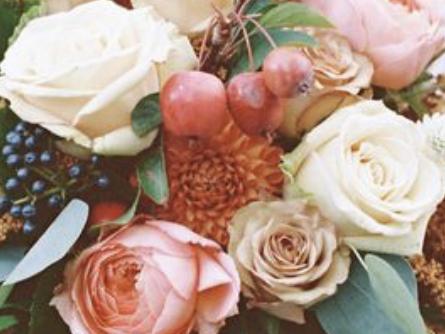 The Wedding Website of Alessandra Miranda and Grant Haines