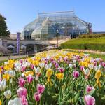 Phipps Conservatory and Botanical Gardens