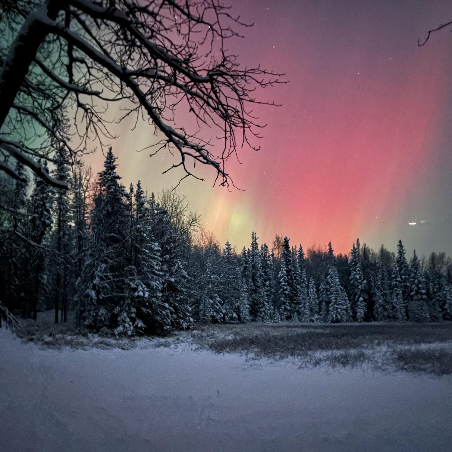 Northern Lights we saw on a walk on the trails by our house