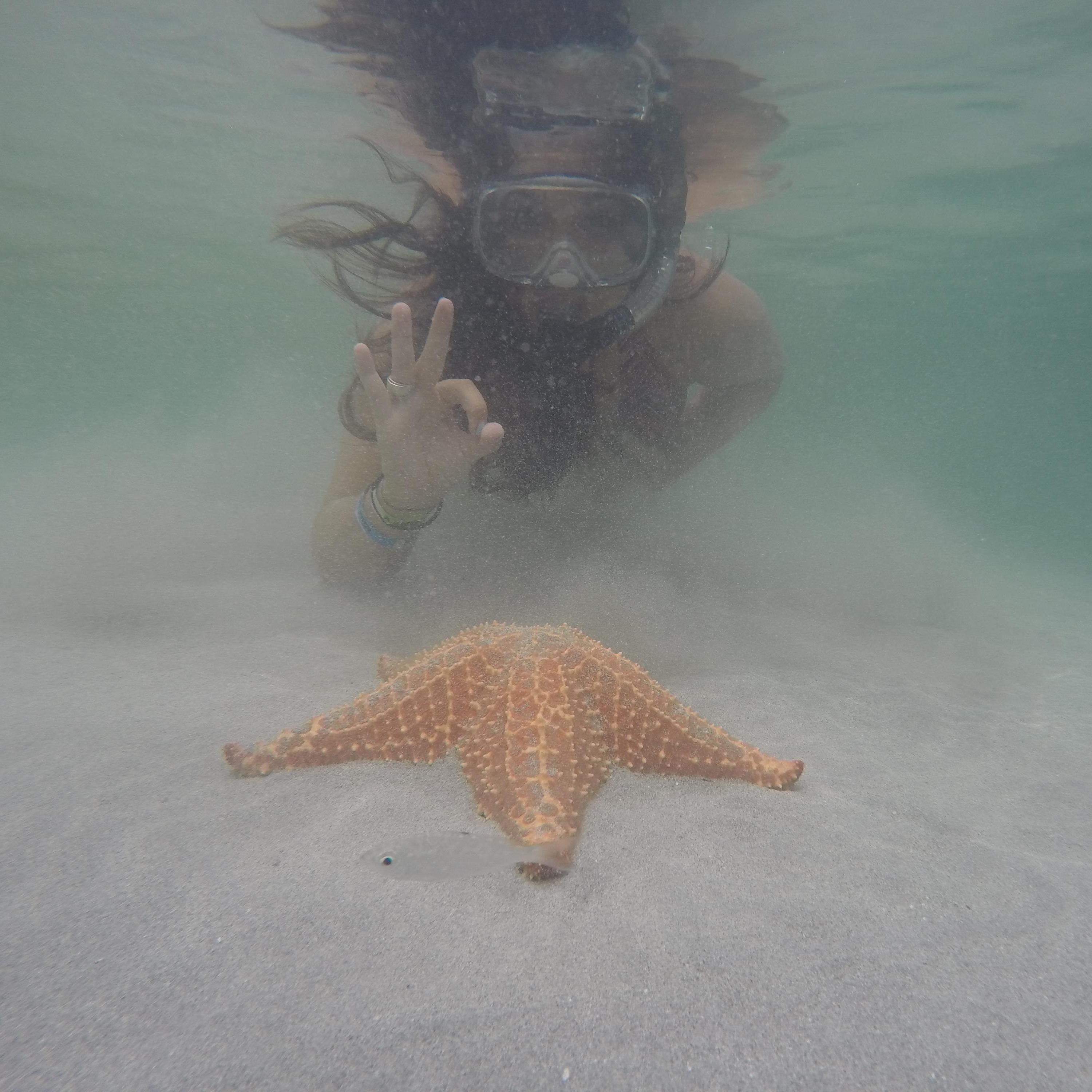 Laura making friends with the sea stars at Playa Estrella in Bocas Del Toro, Panama