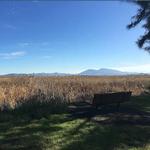 Marsh Observation Area Trailhead