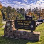 Cook Forest State Park