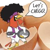 The Chicken or the Egg (Chegg)