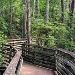 First Landing State Park