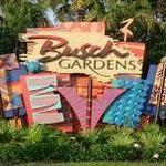 Busch Gardens Tampa Bay