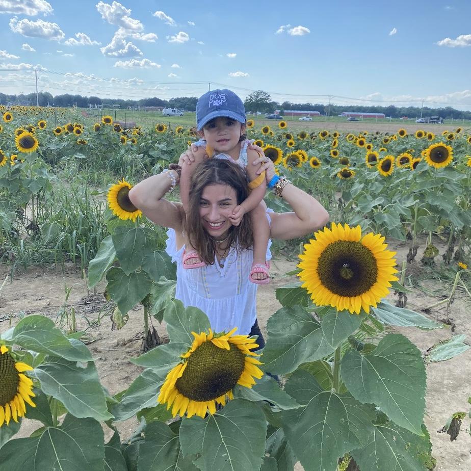 Sunflower Fields Long Island