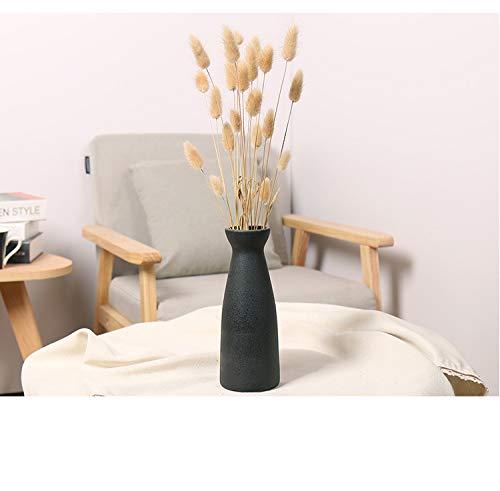 Classics Small Matte Finisher Ceramic Vases Use in Home Office Decor for Flowers, Pampas Grass & Dried Flower by Ware Science