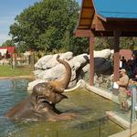 Denver Zoo