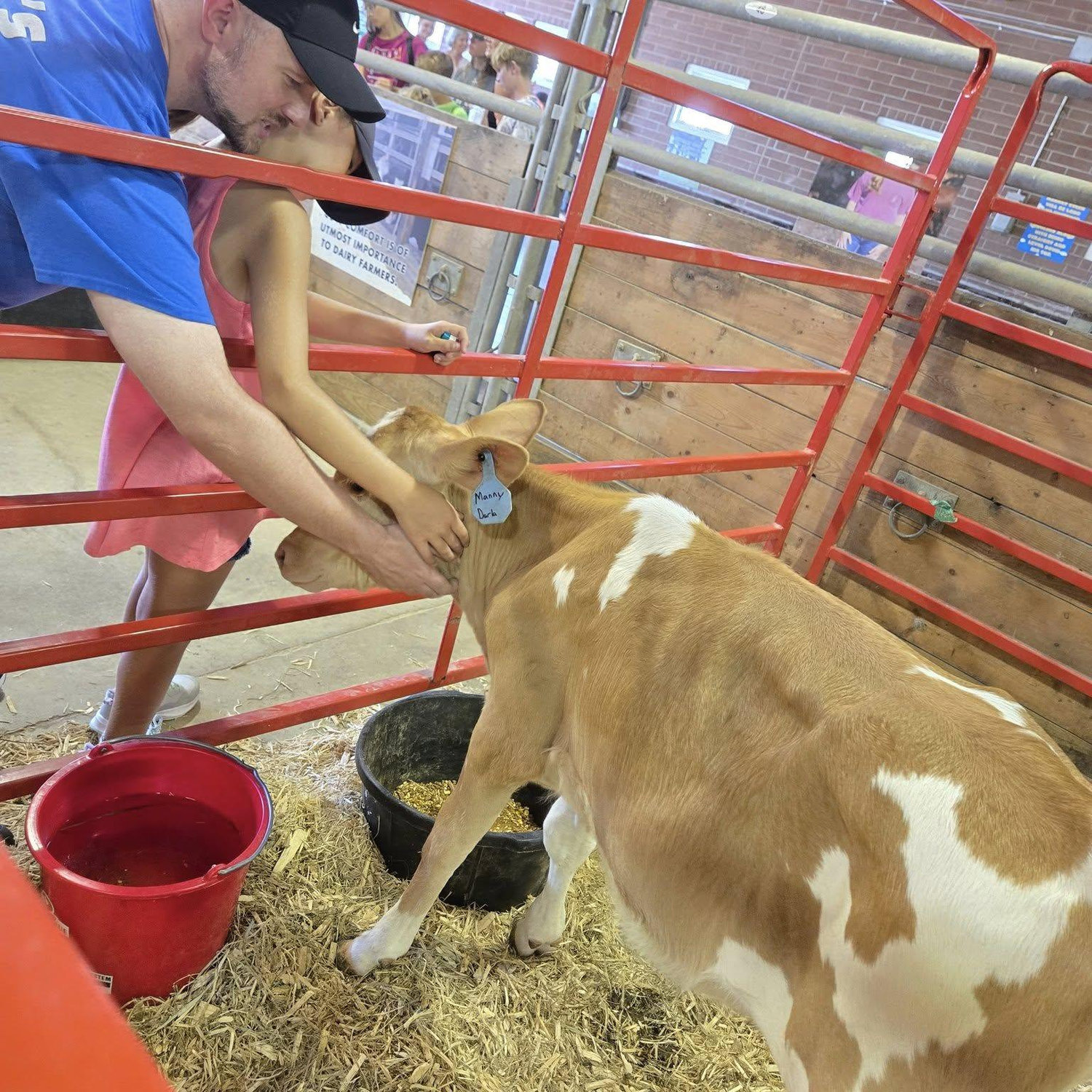 State Fair