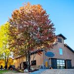 Boyne Valley Vineyards