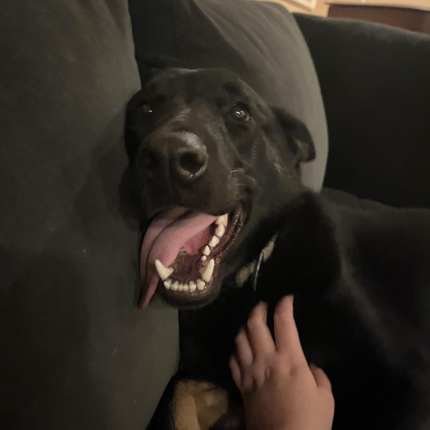 Heineken being a silly boy!