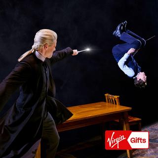 Harry Potter & The Cursed Child Broadway Theater Tickets for 2 - New York