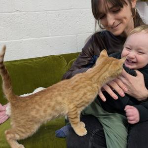 Future furry friend fund!