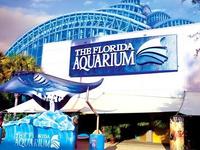 The Florida Aquarium