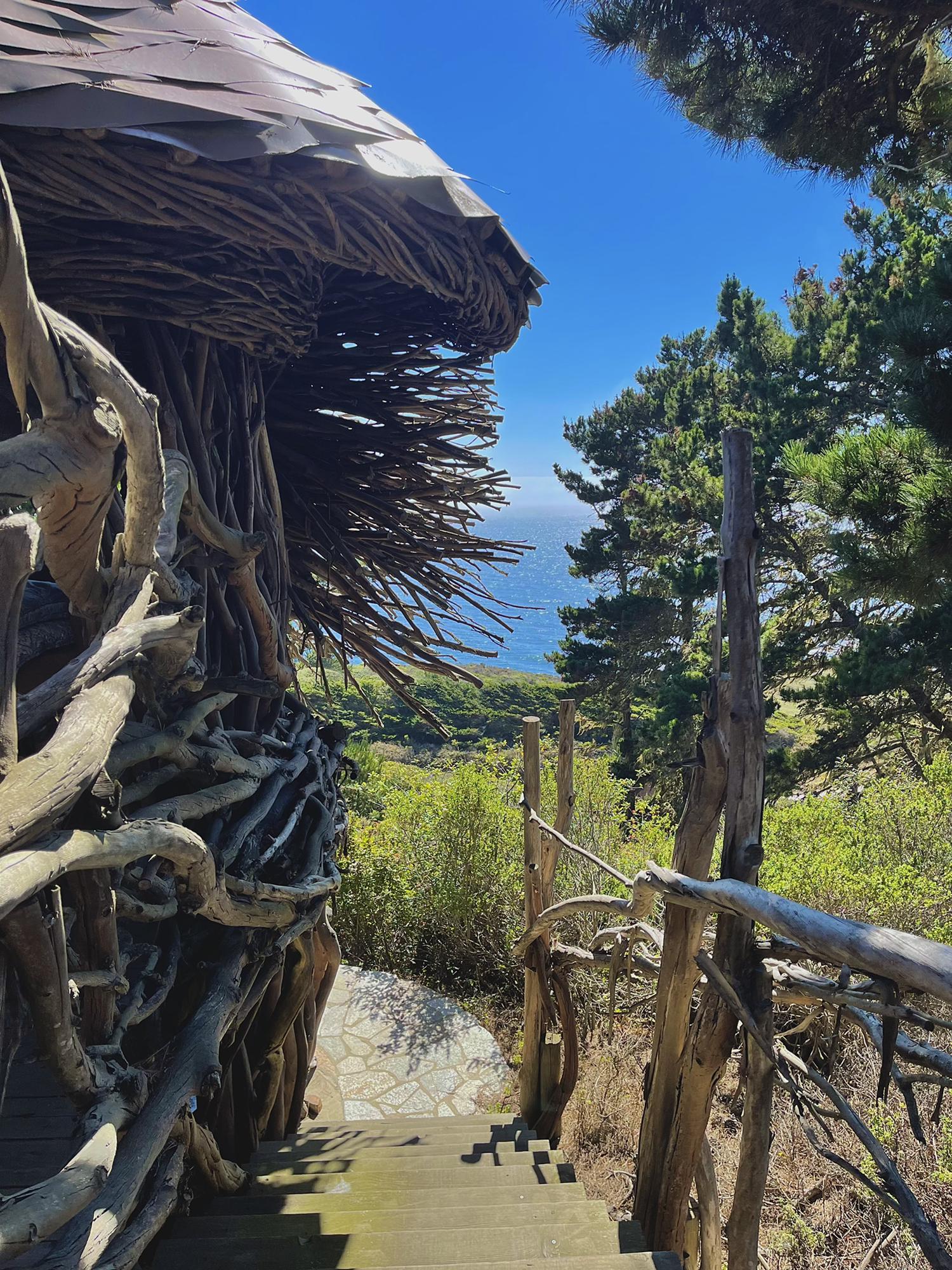 July 2022 - Our road-trip up the coast. Our second stop, Treebone’s Resort.