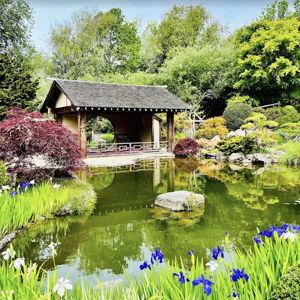 Spa Day at Osmosis Sanctuary