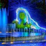 Atlanta Botanical Garden