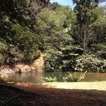 Charco Azul